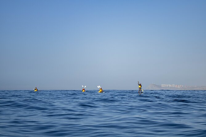Kayak From Viudas Beach to Chileno Bay & Snorkel + Beach Time - Accessibility Considerations
