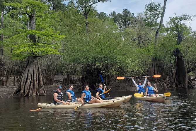 Kayak Rental on the Waccamaw River Review - Positive Customer Reviews and Ratings