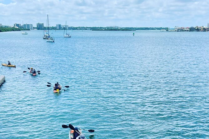 Kayaking Clear Through Clearwater - Booking and Policies