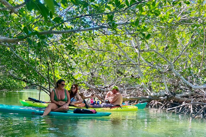 Key West Kayak Eco Tour | An Eco-Friendly Adventure Awaits! - Health and Accessibility