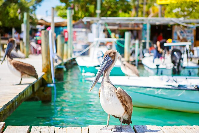 Key West & Overseas Hwy Self-Guided Driving Audio Tour, Florida - Support and Additional Information