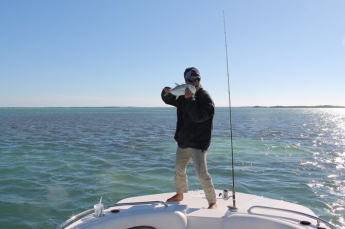 Key West Sandbar/Eco Trip Ran by Husband and Wife Naturalist Team - Snorkeling Adventures and Marine Life