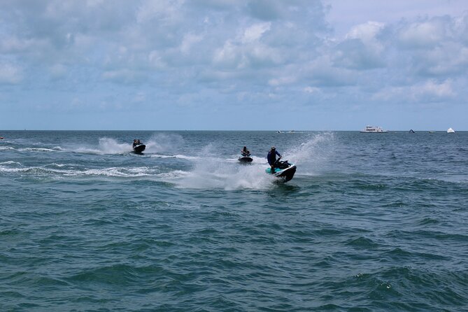 Key West Tours From Miami: Dolphin Discovery, Snorkeling & More ! - Pricing and Reservations