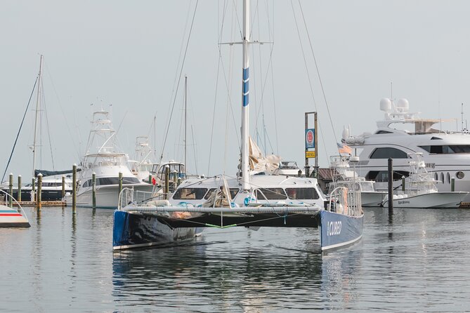Key Wests Favorite Afternoon Dolphin Sail - Why Choose This Dolphin Sail