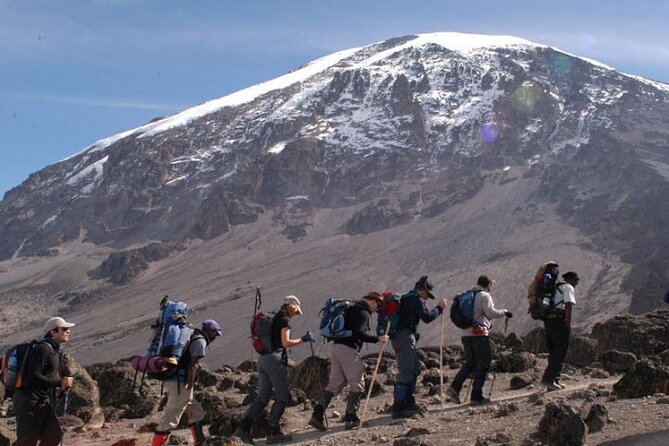 Kilimanjaro-Trekking Lemosho Route 8 Days / 7 Nights - Daily Itinerary Highlights