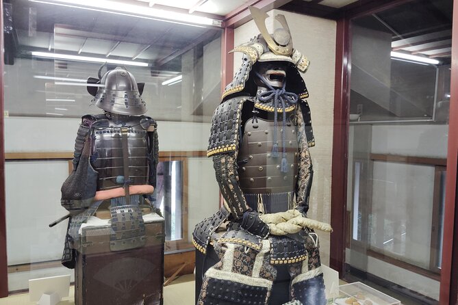 Kintai Kyo Bridge and Iwakuni Castle With Local Guide - Insights From the Professional Guide