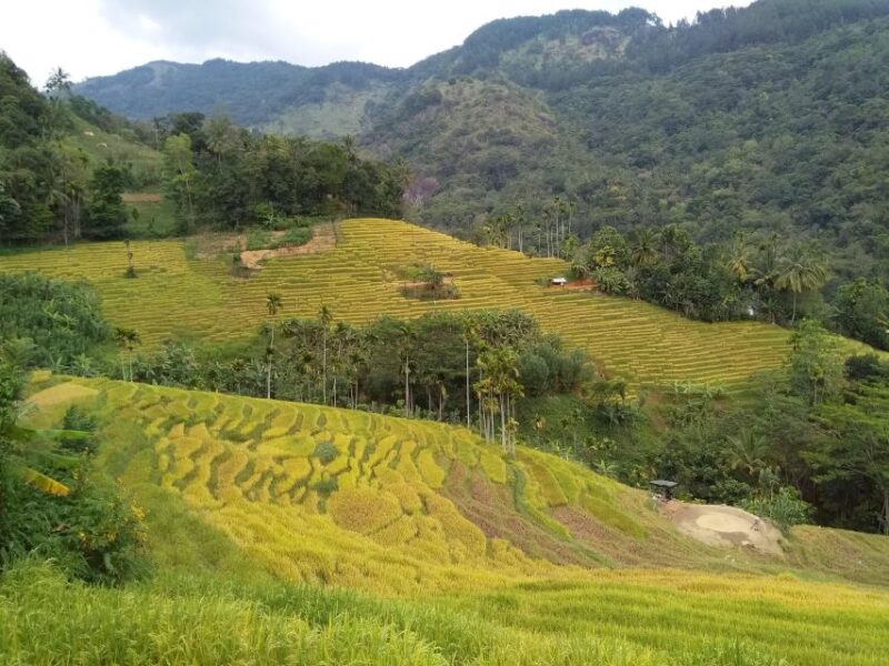 Knuckles Spice Trail Trek From Kandy - Key Attractions