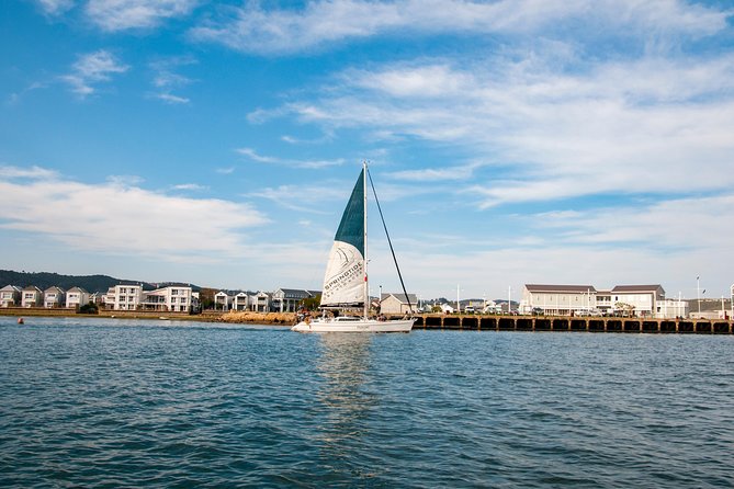 Knysna Day Sail & Lunch Charter 2.5 Hour - Dietary Options and Accessibility