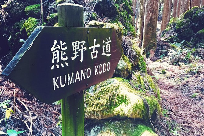 Kumano Kodo Pilgrimage Full-Day Private Trip With Government Licensed Guide - Customizable Tour Options and Inclusions