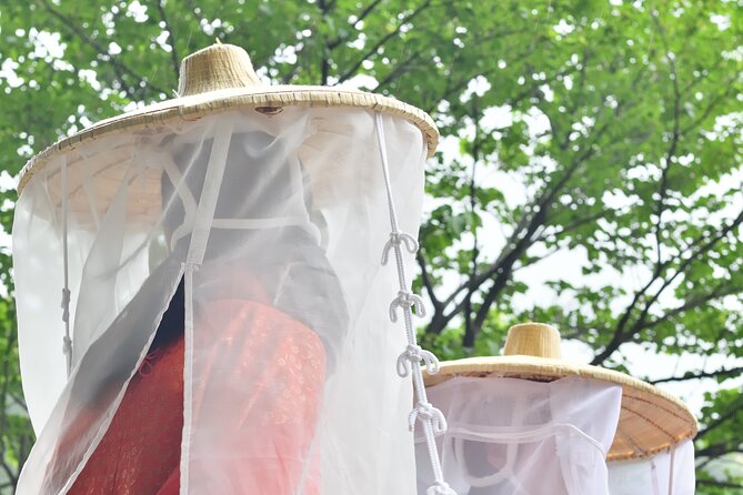 Kumano Kodo Pilgrimage Tour With Licensed Guide & Vehicle - Accessibility and Participation