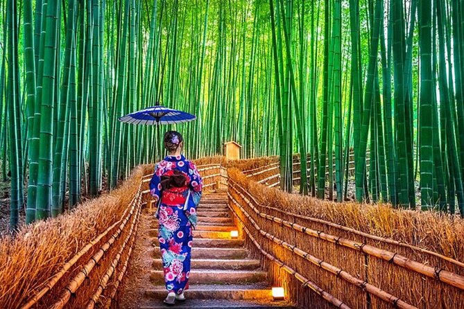 Kyoto Customizable Day Tour With Guide and Vehicle - Highlights of Kyoto