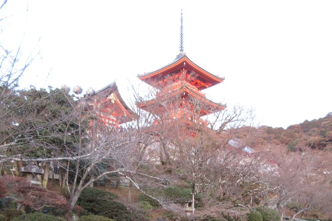 Kyoto ITALIAN GUIDE, Kiyomizu Temple Gion Pagoda Maiko Geisha - Additional Tour Details