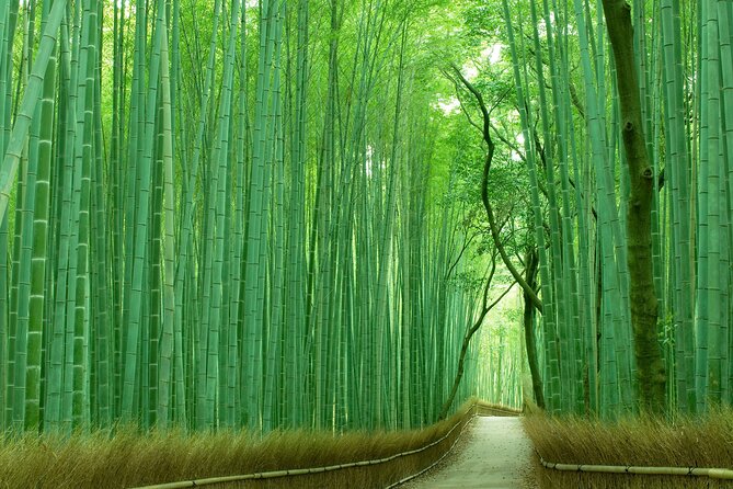 Kyoto Must-Visit Highlights: Private Car Tour - Bottled Water and English-Speaking Guide