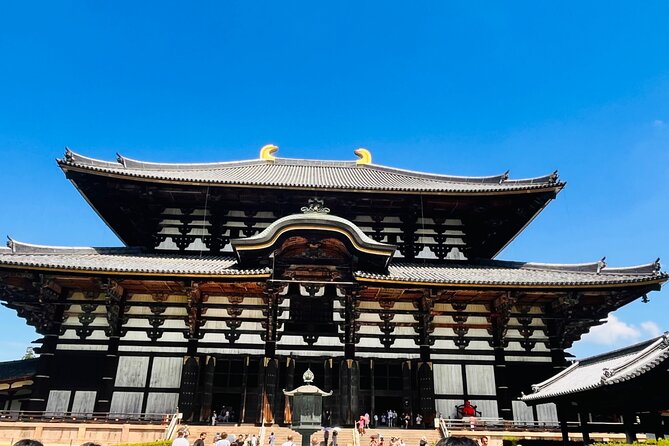 Kyoto Osaka Kyoto and Nara Customized Private Guided Tour - Exploring Osaka