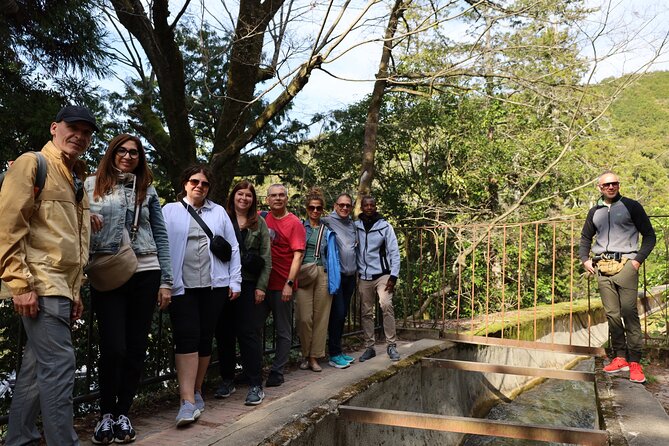 Kyoto, Osaka, Nara, Kobe Private Tours - Accessibility and Additional Info