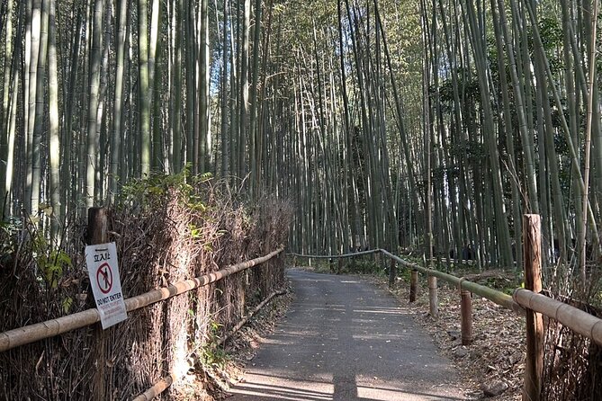Kyoto Popular Tour : Learn Japanese Philosophy From Kyoto - Experiencing Public Transportation