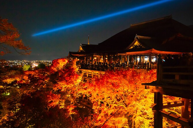 Kyoto/ Private Tour Delivered and Guided by a Top-Tier Driver - Experience Highlights