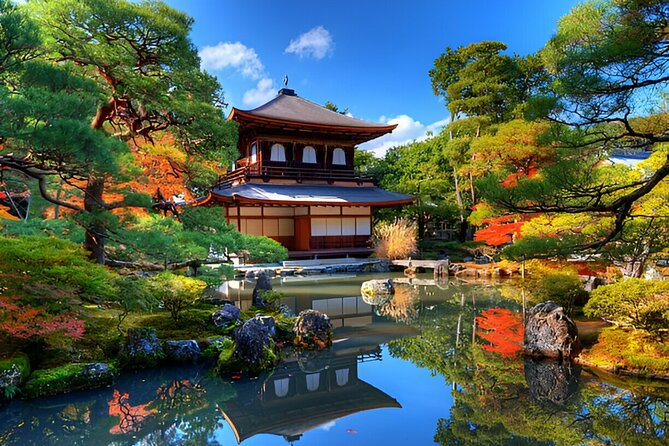 Kyoto Private Tour With Pick and Drop - Customer Reviews and Experiences