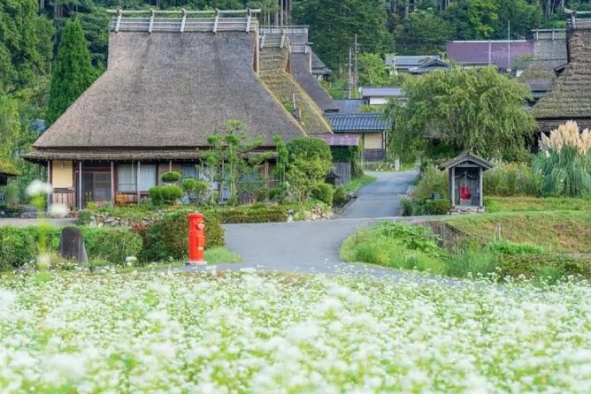 Kyoto Suburb Day Tour From Osaka - Accessibility and Participation