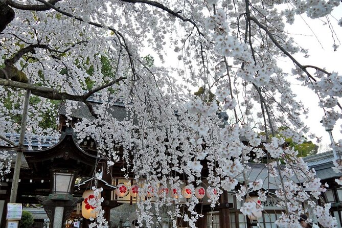 Kyotos World Heritage Walking Tour From Kyoto St. - Customization and Flexibility