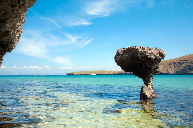 La Paz and Todos Santos City and Beaches Tour - Booking and Cancellation Policies