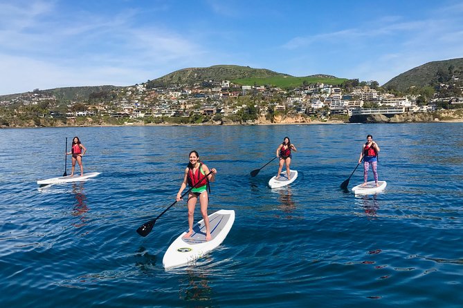 Laguna Beach Kayak Tour With Sea Lion Viewing - Included in the Tour