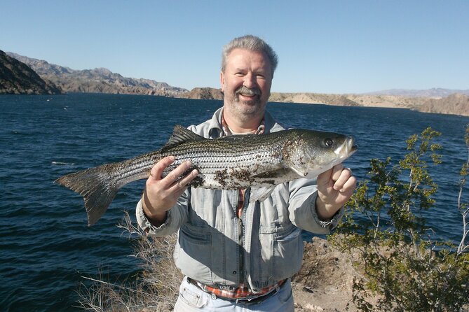 Lake Mead Striped Bass Fishing Getaway - What to Expect on the Fishing Trip
