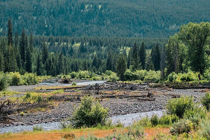 Lamar River Valley Day Hike Tour - Guided Hike Through Scenic Landscapes
