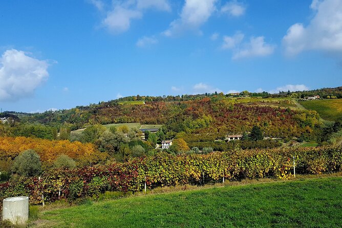 Langhe and Barolo Wine Tour From Turin - Participation Requirements