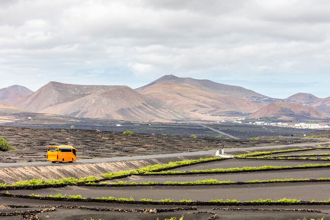 Lanzarote Tour With Timanfaya National Park and El Golfo - Pickup Information and Logistics