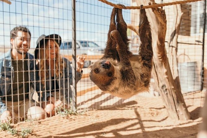 Las Vegas Guided UTV Safari and Zoo Tour - What to Expect