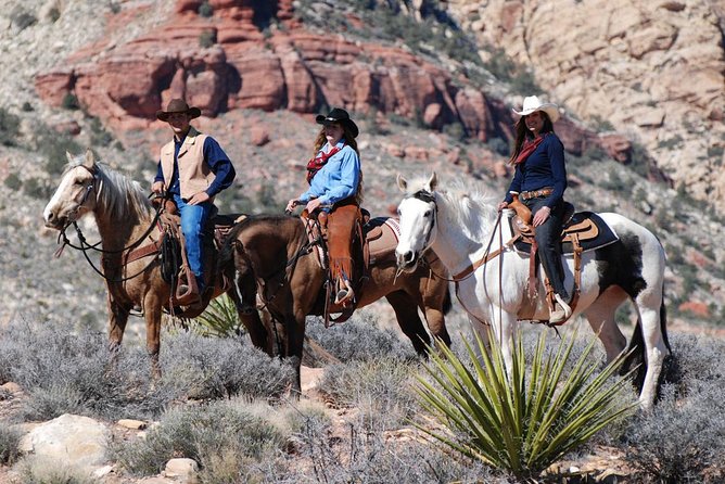 Las Vegas Horseback Ride With Meal - Customer Feedback