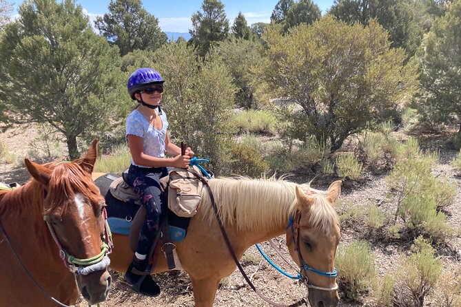 Las Vegas Horseback Riding Adventure - Well-Trained Horses and Knowledgeable Guides