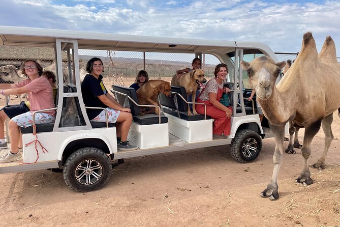 Las Vegas VIP Sunset Safari Tour Review - Cancellation and Rescheduling Policy