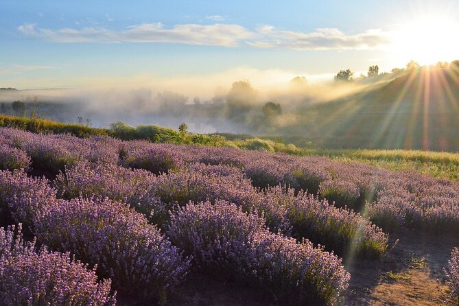 Lavender Tour From Pamukkale With Drop off Denizli Airport - Accessibility Features