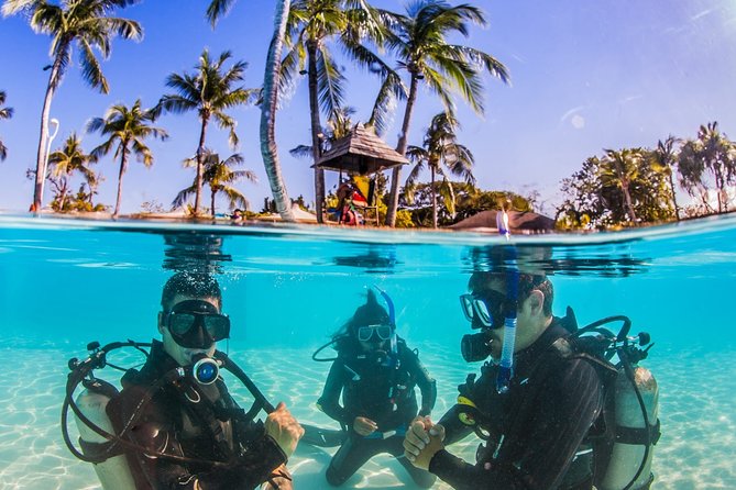Learn to Dive PADI Open Water Diver Course - Discover the Aquatic Wonders
