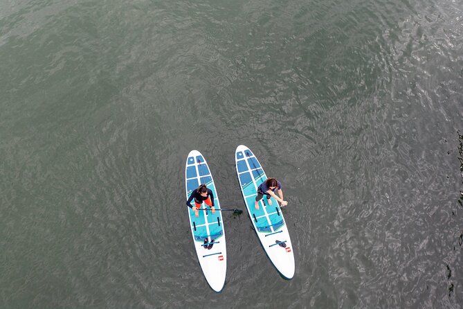 Learn to Paddle Board on the San Francisco Bay! - Pricing and Reviews
