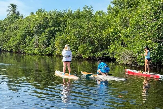 Let's Paddle! Jupiter Experience Review - Accessibility and Policies