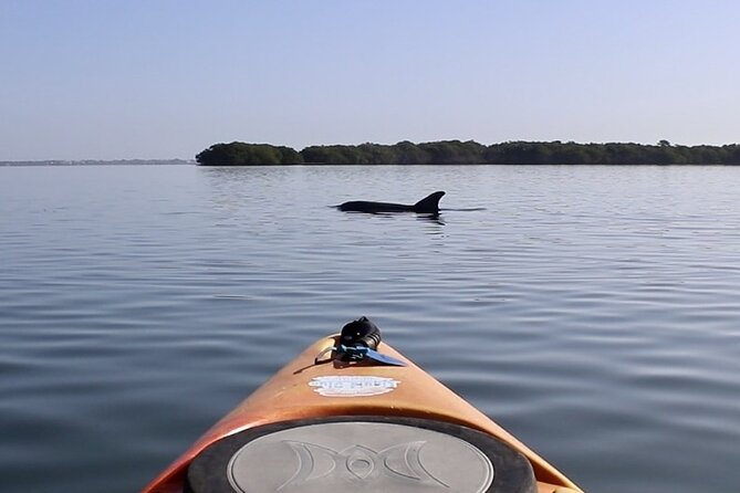 Lido Key Pedal Kayak Tour in Sarasota - Pricing and Booking