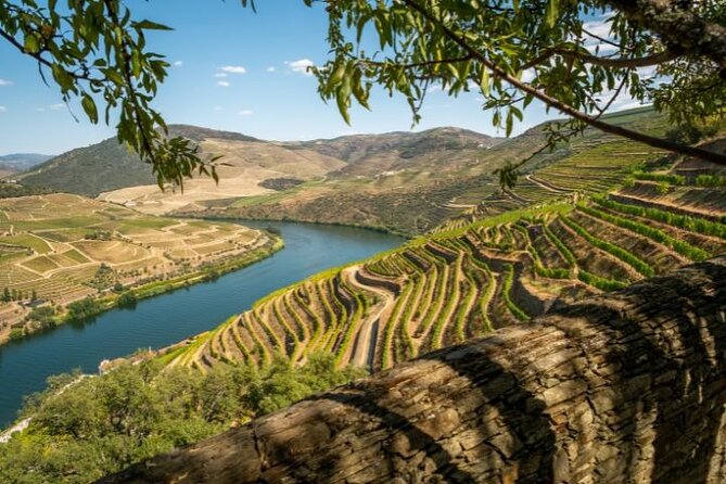Lisbon to Douro Valley Direct Transfer | Premier Experience - Accessibility Features