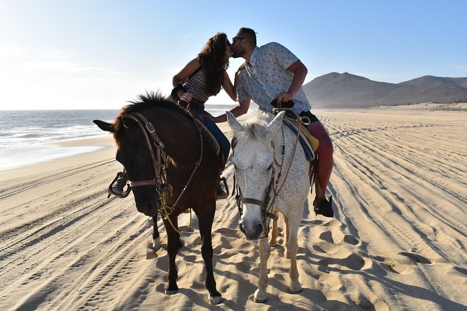 Love Is in the Air! Private Horseback Ride on the Beach and Sunset Dinner! - Customer Feedback