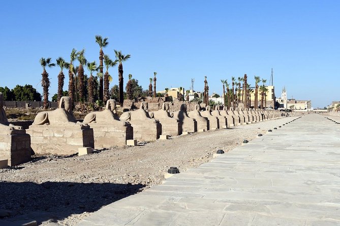 Luxor Day Tour From Cairo by Flight - Booking Process