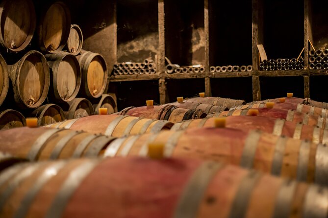 Luxurious Wine Tour in Burgundy - Savoring the French Cuisine Lunch