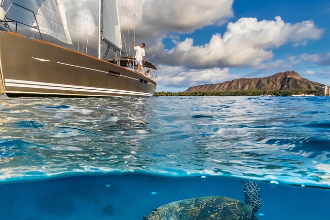 Luxury Diamond Head Sunset Sail Review - Spotting Dolphins and Whales: A Magical Encounter