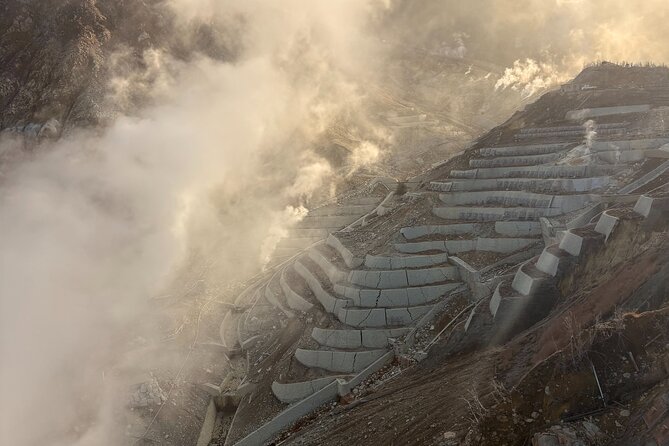 Luxury Hakone Hot Spring & Lake Ashi Cruise Tour From Tokyo - Luxury Transportation