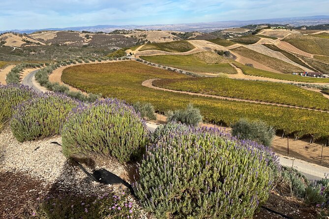 Luxury Wine Tour in Paso Robles Review - Culinary Experiences
