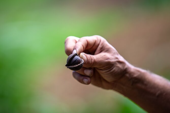 Macnut Tour, Picnic Lunch and Maui Bees - Engaging With Local Flora and Fauna
