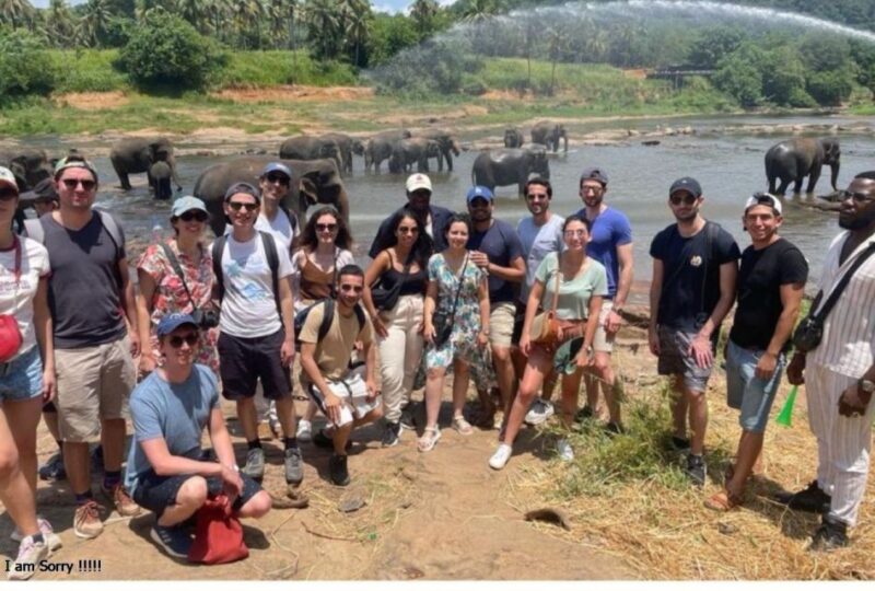 Magical Journey to Kandy & Pinnawala From Bentota/ Kalutara - Important Information and Guidelines