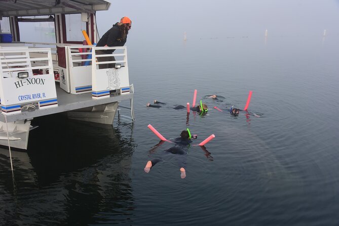 Manatee Snorkel Tour - Small Group - Customer Reviews and Experiences