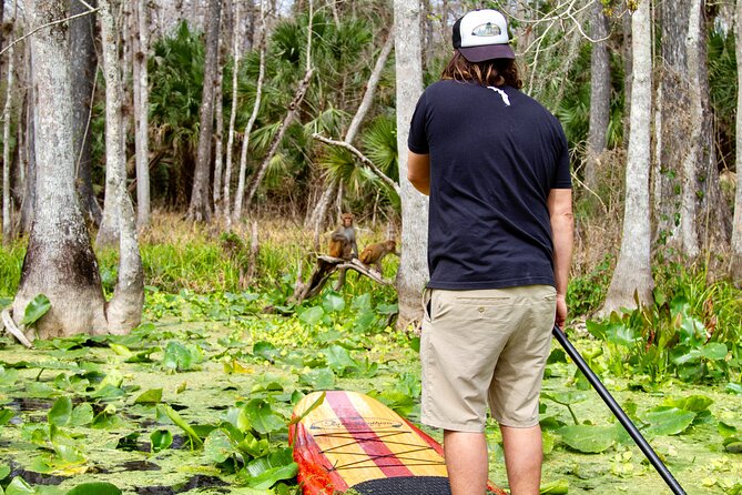 Manatees, Monkeys and Florida Natural Spring Adventure Tour - Exploring the Magical Silver Springs
